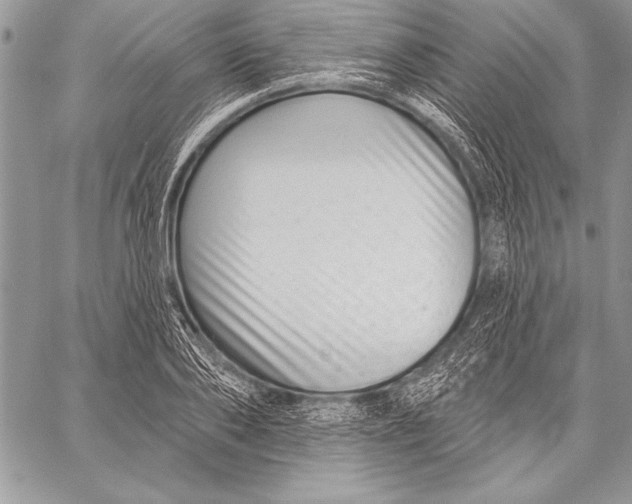 X0000058120886200510171307