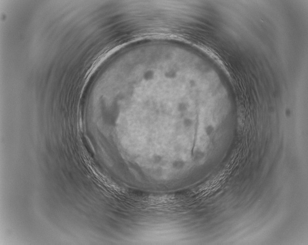 X0000058120887200510171307