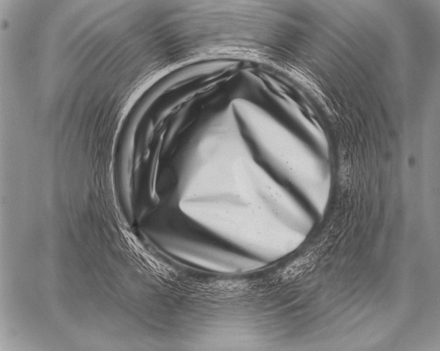 X0000058120888200510171307