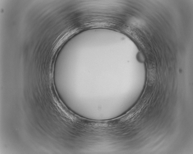 X0000058120890200510171307