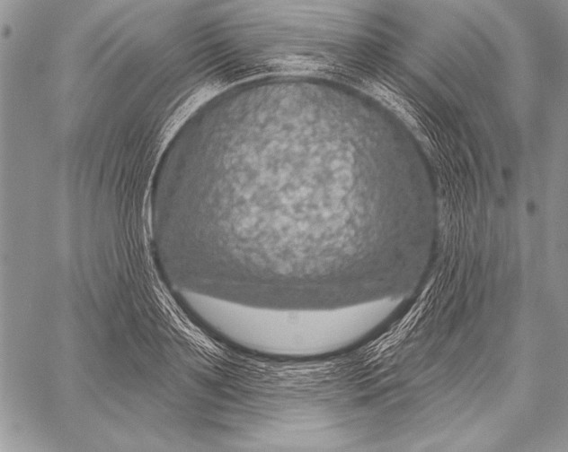 X0000058120891200510171307