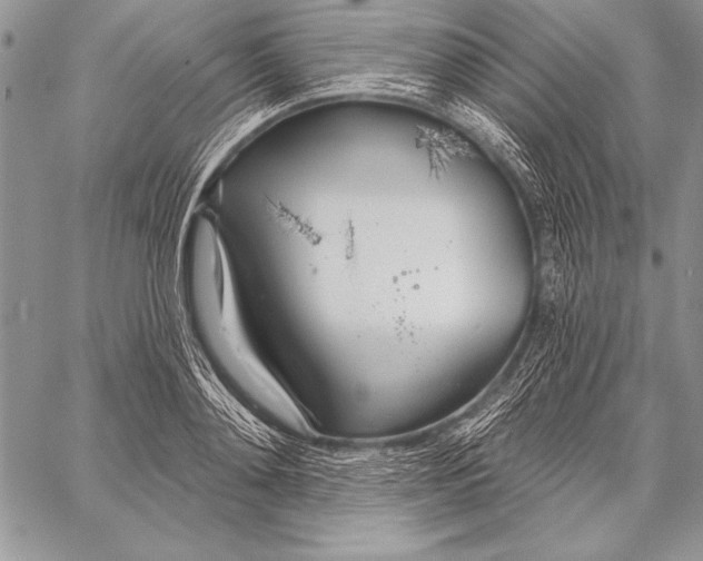 X0000058120892200510171307