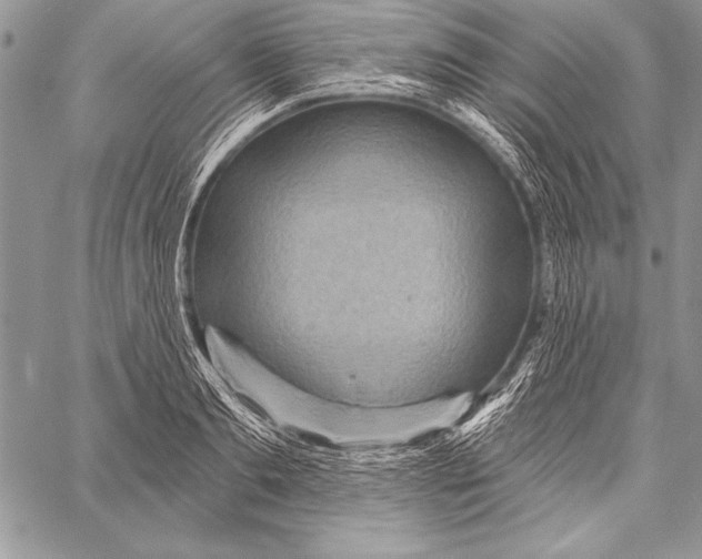 X0000058120893200510171307