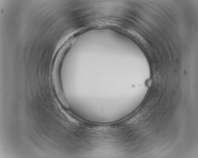 X0000058120894200510171307