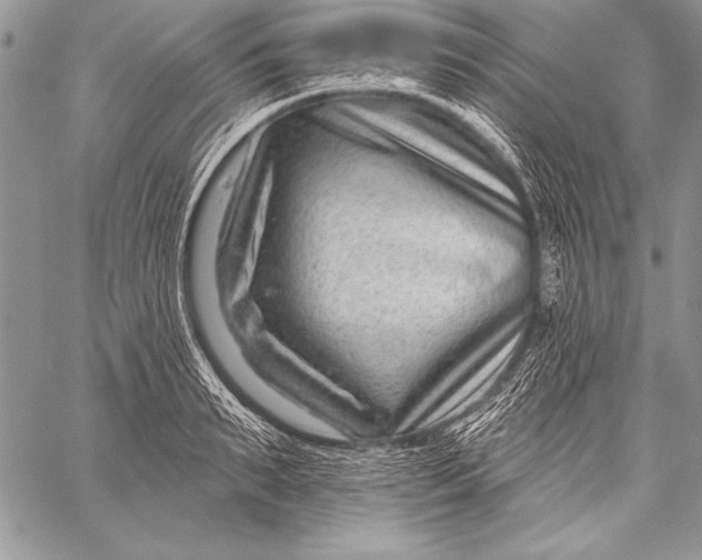 X0000058120895200510171307