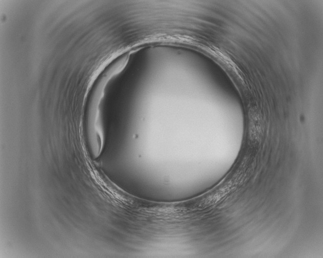 X0000058120896200510171307