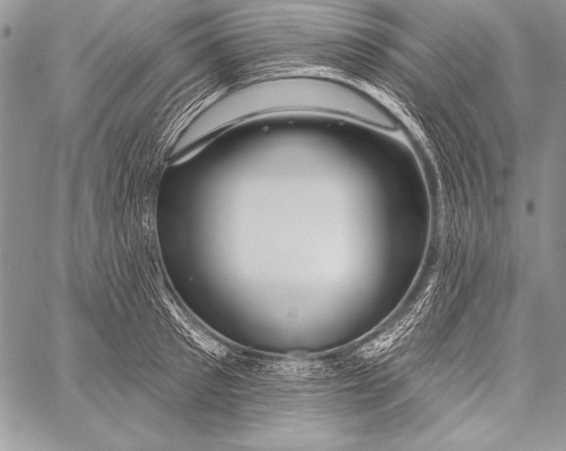 X0000058120897200510171307