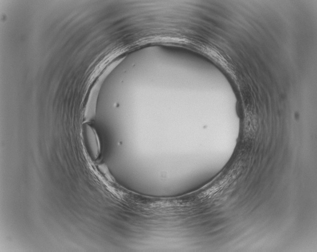 X0000058120898200510171307