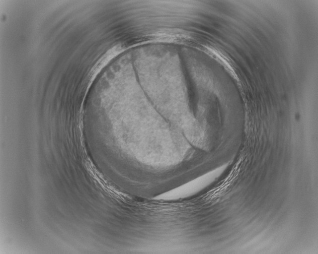 X0000058120899200510171307