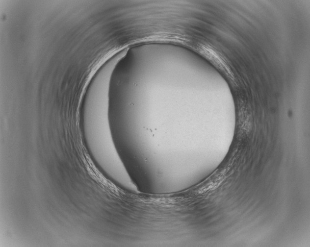 X0000058120900200510171307