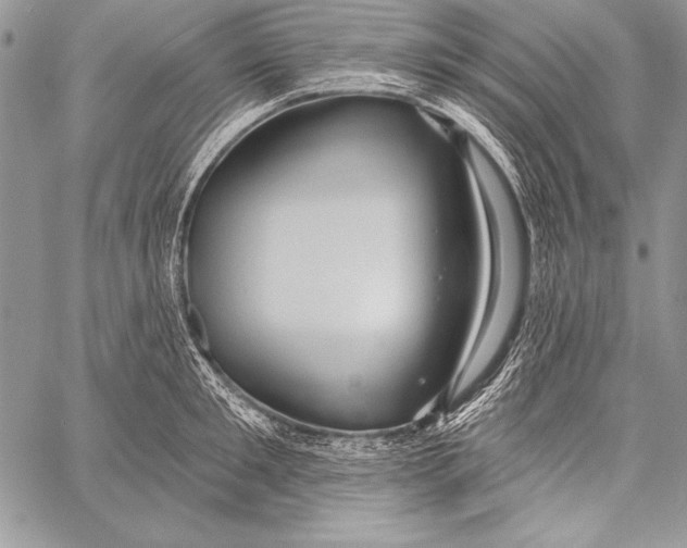 X0000058120901200510171307