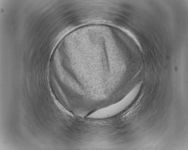 X0000058120903200510171307