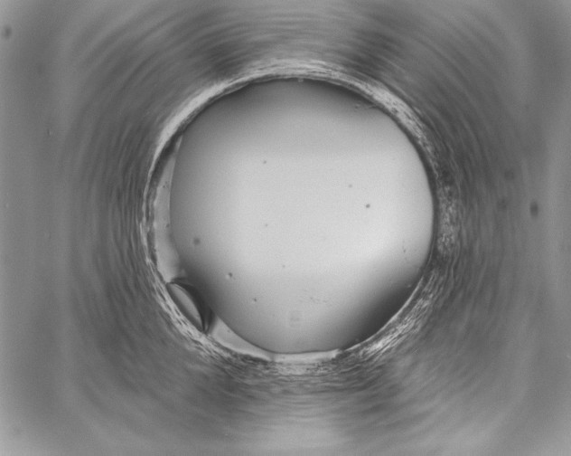 X0000058120904200510171307