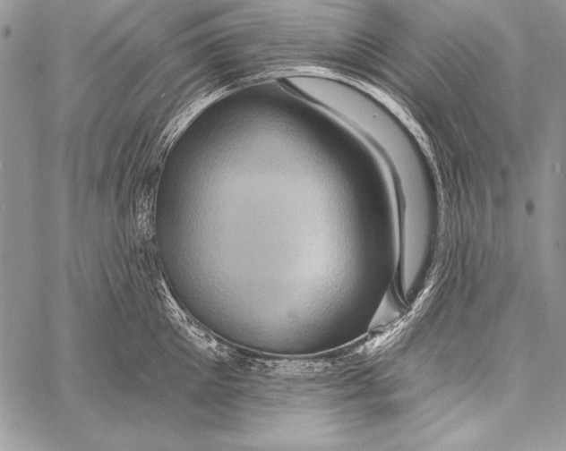 X0000058120905200510171307