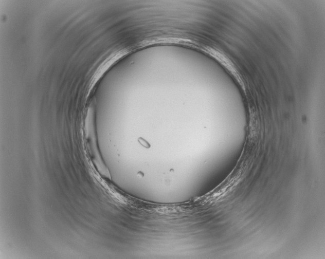 X0000058120906200510171307