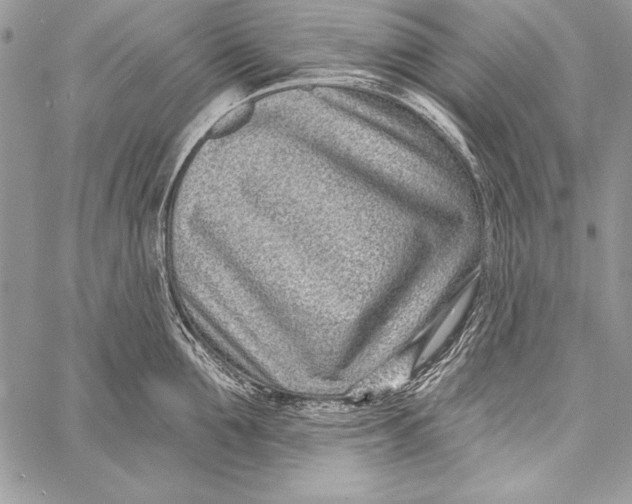 X0000058120907200510171307