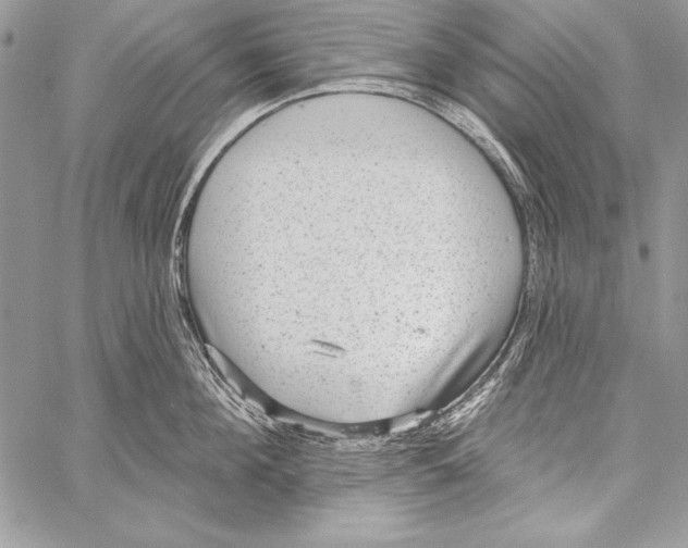 X0000058120908200510171307