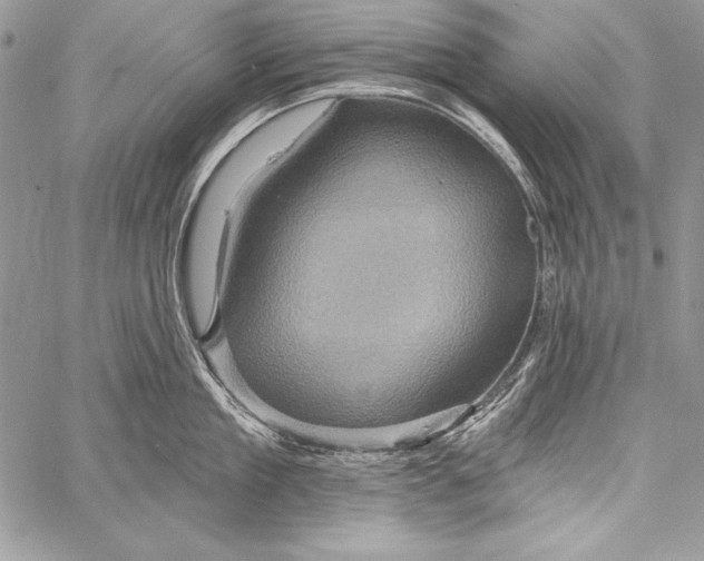 X0000058120909200510171307