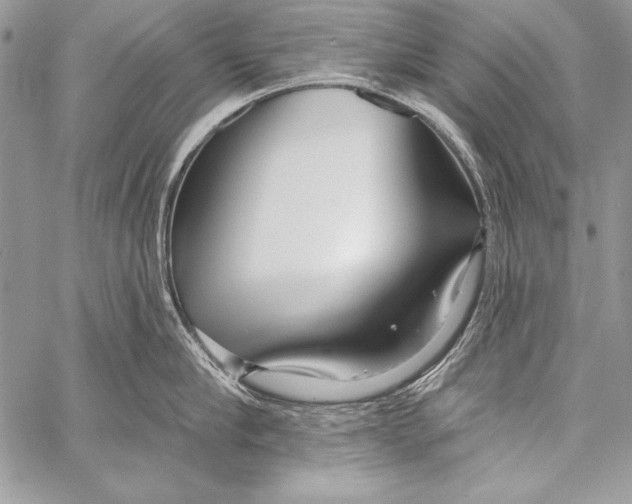 X0000058120910200510171307