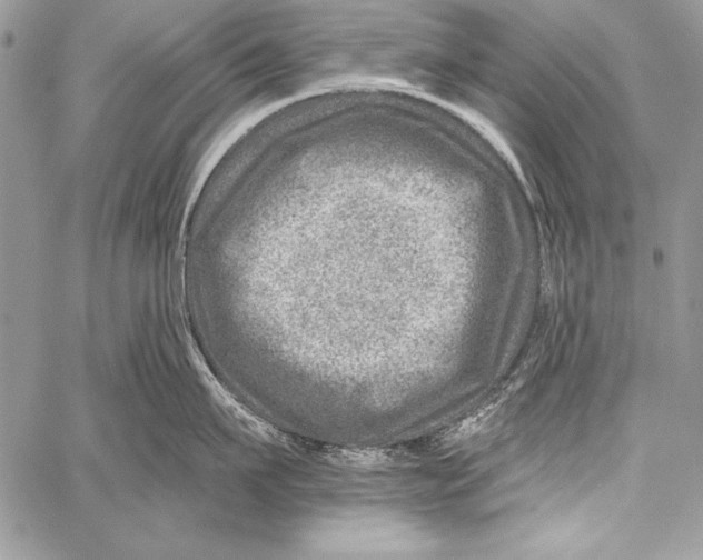 X0000058120911200510171307