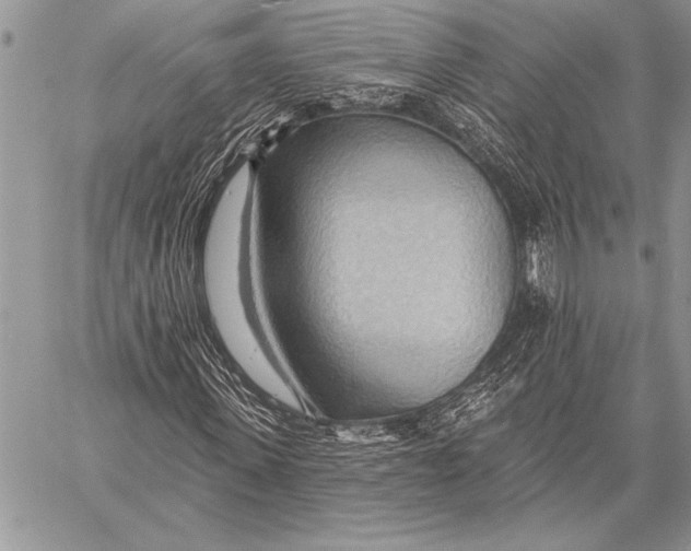 X0000058120915200510171306