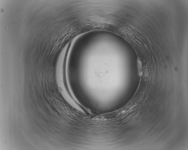 X0000058120916200510171306