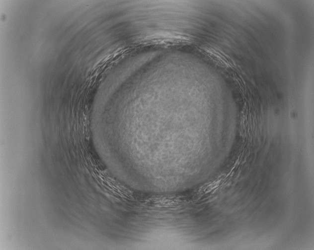 X0000058120917200510171306