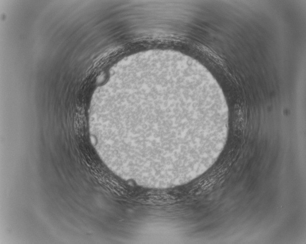 X0000058120918200510171306