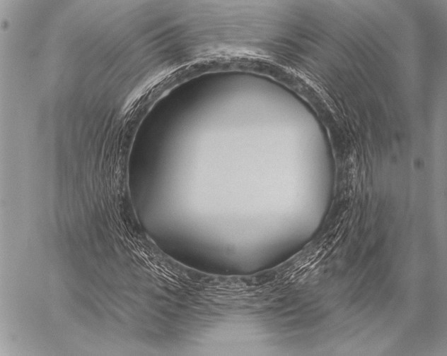 X0000058120919200510171306