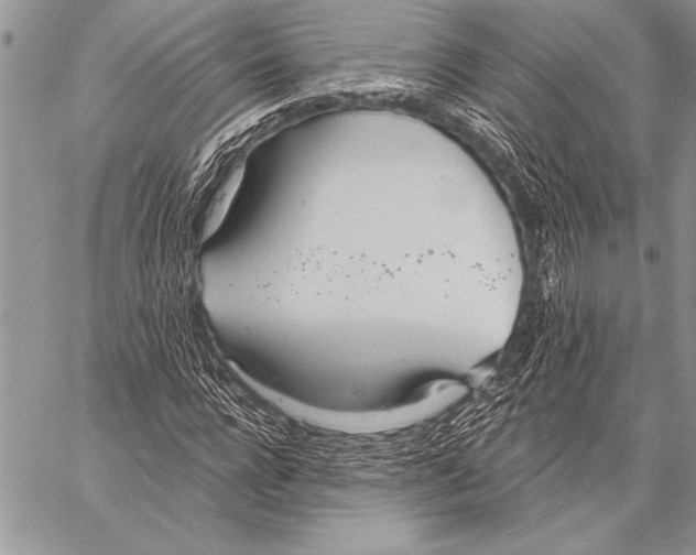 X0000058120920200510171306