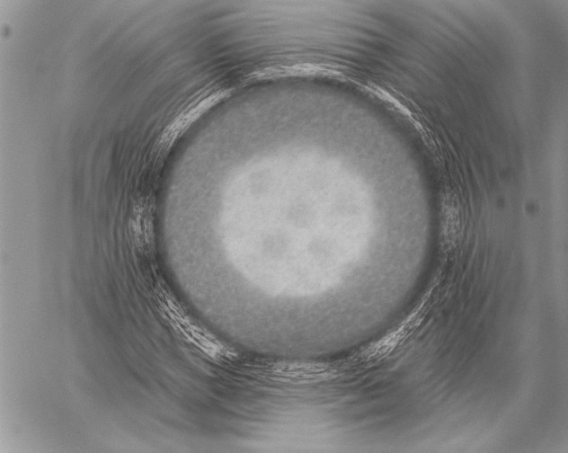 X0000058120921200510171306