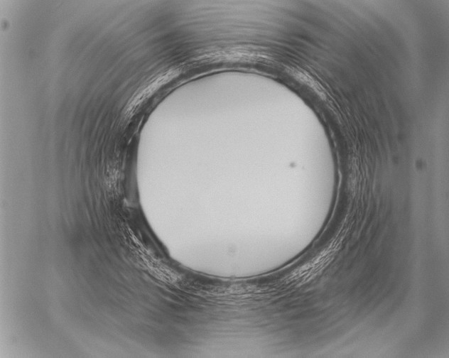 X0000058120922200510171306