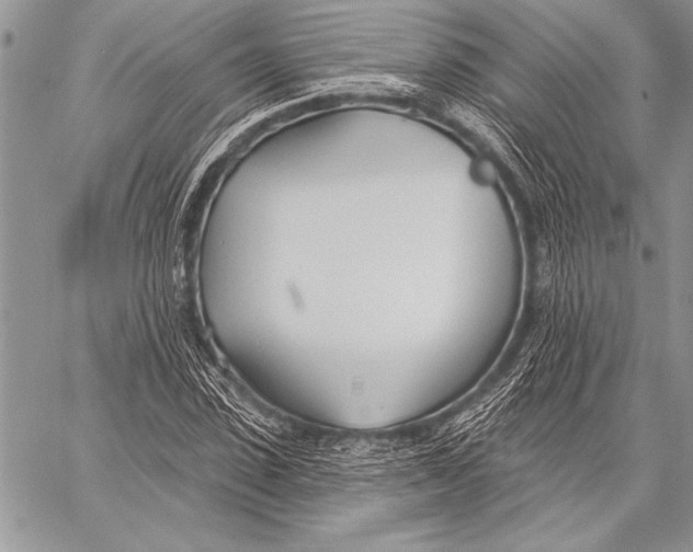 X0000058120923200510171306