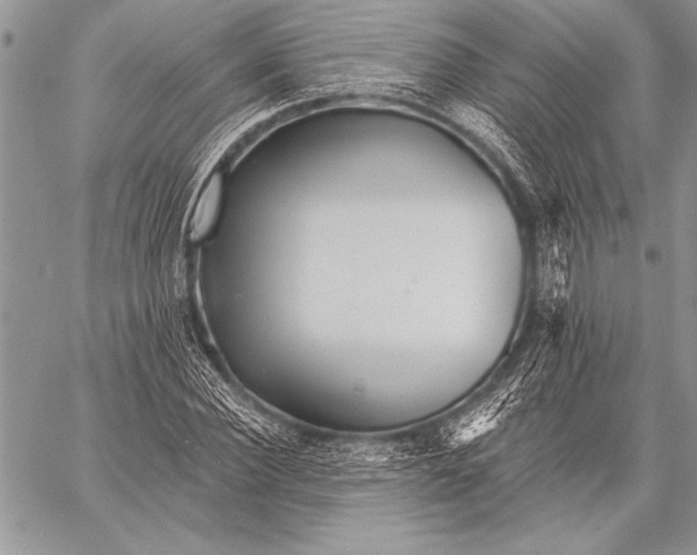 X0000058120924200510171306