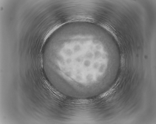 X0000058120925200510171306