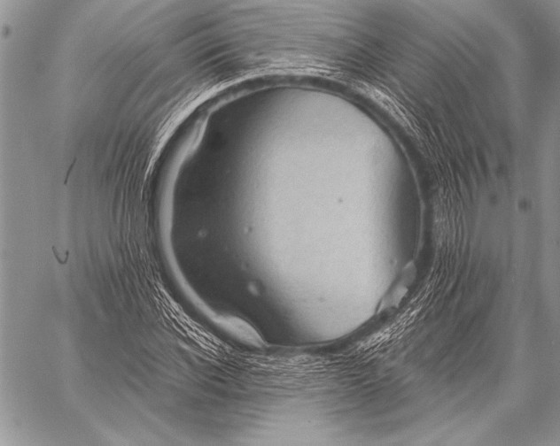 X0000058120926200510171306