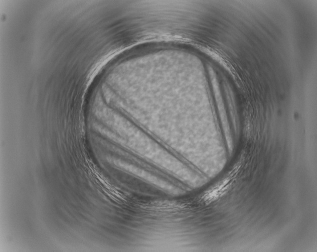 X0000058120927200510171306