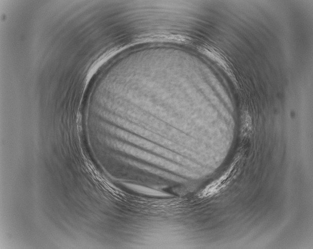 X0000058120928200510171306