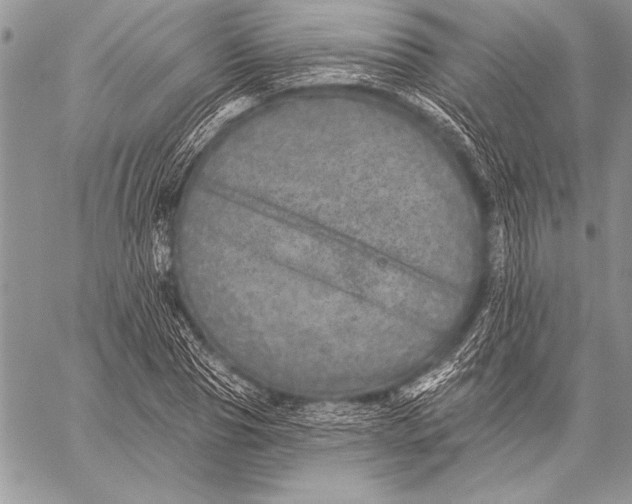 X0000058120929200510171306