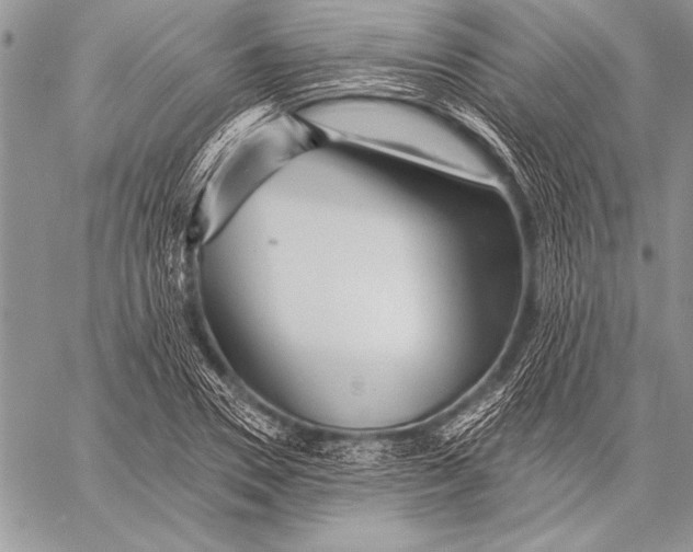 X0000058120930200510171306