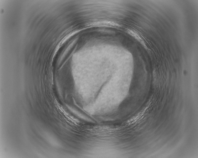 X0000058120931200510171306