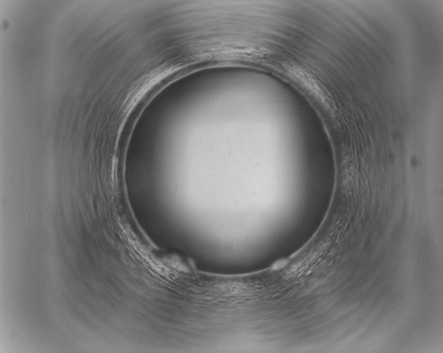 X0000058120932200510171306