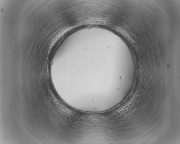 X0000058120934200510171306