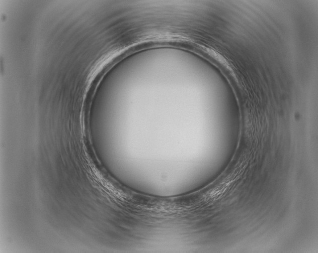 X0000058120935200510171306