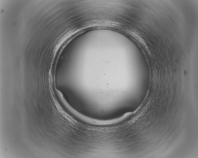 X0000058120936200510171306