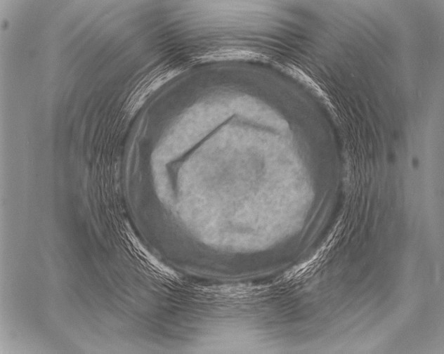 X0000058120937200510171306