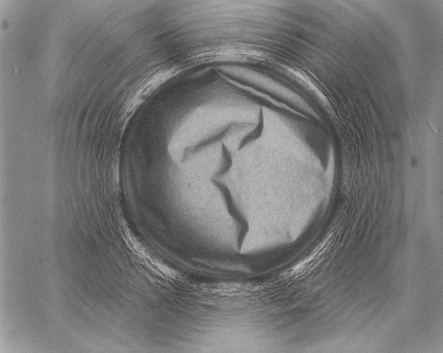 X0000058120938200510171306