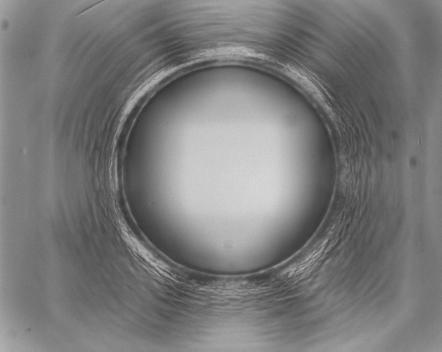 X0000058120939200510171306