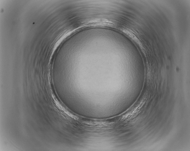 X0000058120941200510171306