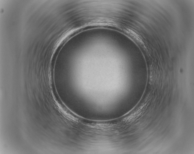 X0000058120942200510171306